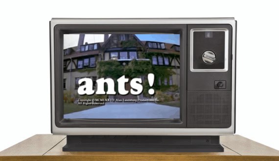 Thumbnail for ‘Ants!’ Create a Panic at Lakewood Manor