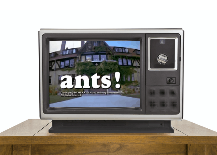 Ants! Tv