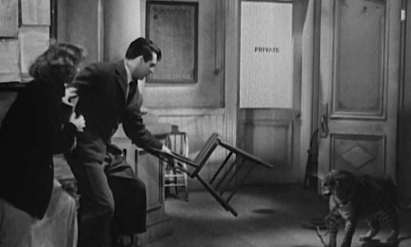 Cary Grant in Bringing Up Baby