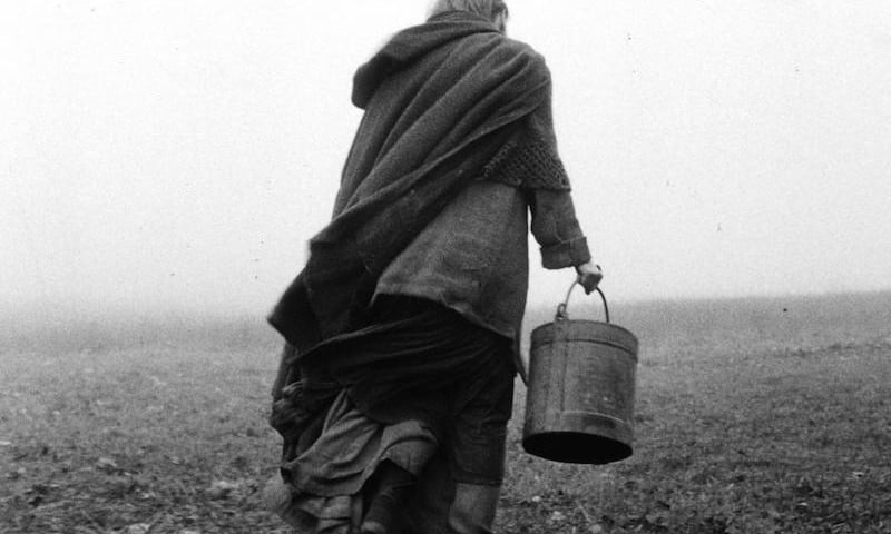 Thumbnail for Destructive Complacency and the Call to Action of ‘The Turin Horse’