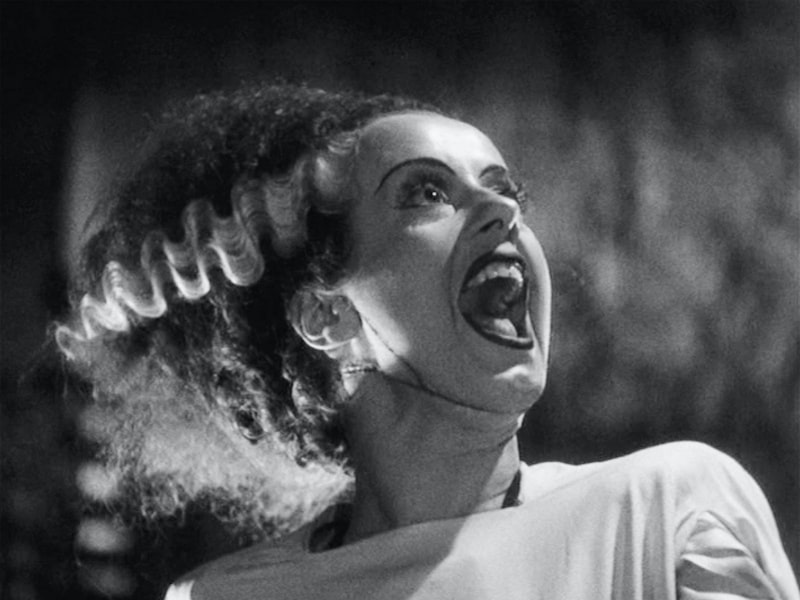 Bride Of Frankenstein classic horror