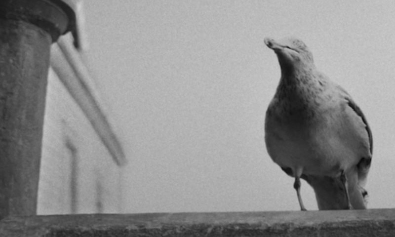 Thumbnail for 30 Things We Learned from ‘The Lighthouse’ Commentary
