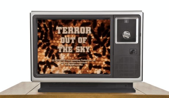 Thumbnail for ‘Terror Out of the Sky’ Sees the Deadly Return of Savage Bees