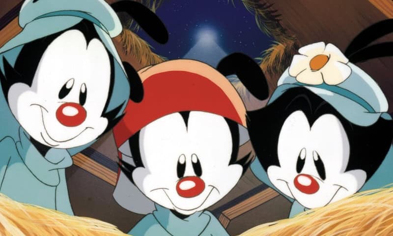 Animaniacs Cartoon