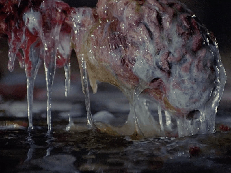Hellraiser Frank Ressurection Brain Methycel