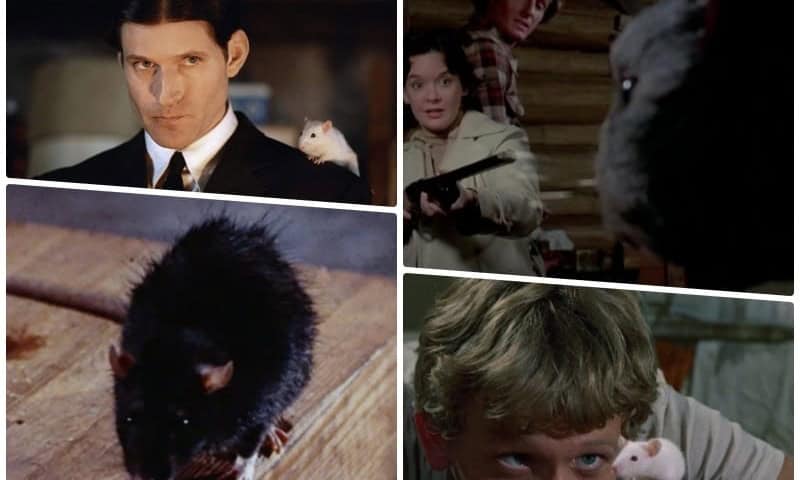 Rodent Horror Movies