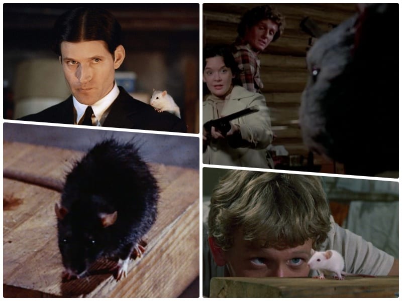 10 Most Ravenously Rodent-Infested Horror Movies