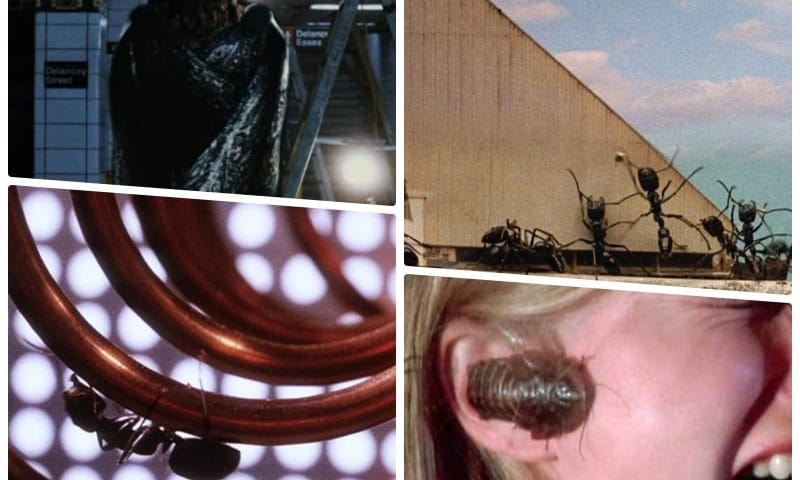 Bug Horror
