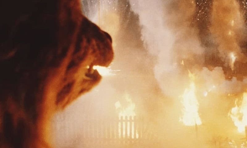 the bear in Grizzly II: The Revenge