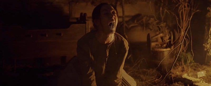 Hagazussa possession