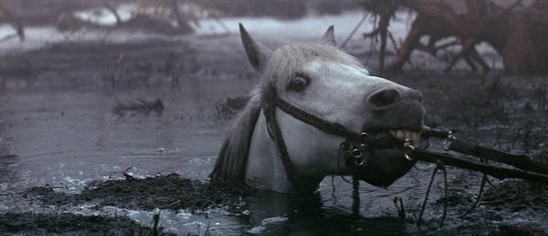 The Neverending Story Swamp Of Sadness