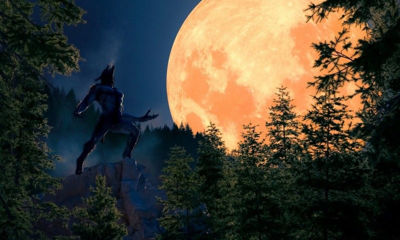 Horror Lists Werewolf Movies