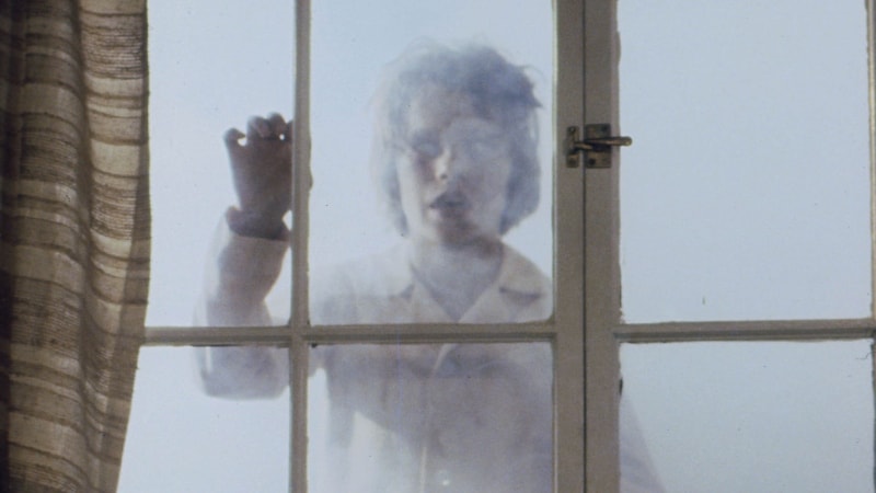Salems Lot