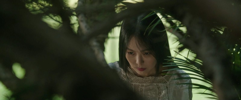 The Handmaiden