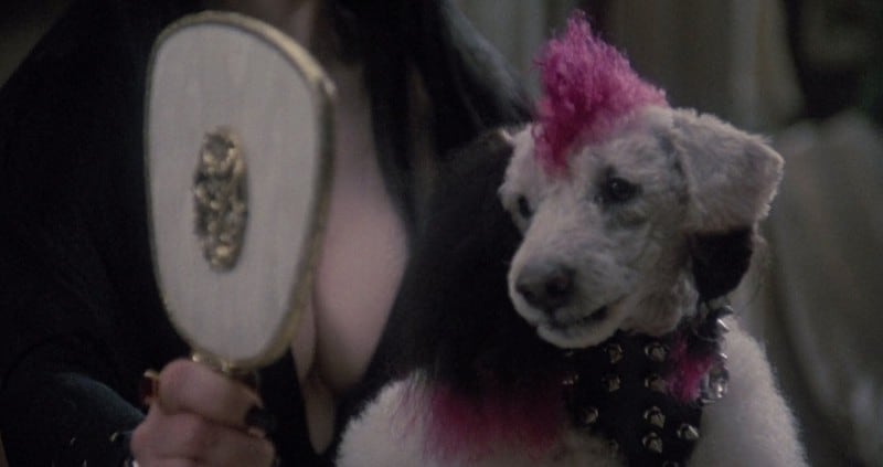Gonk Elvira