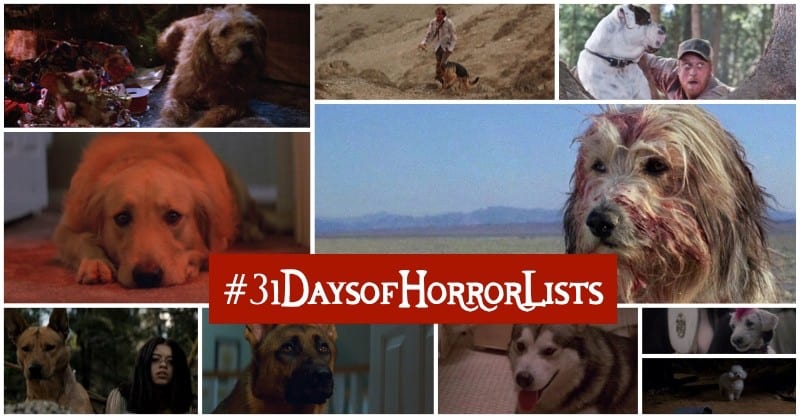 Best Dogs In Horror Movies