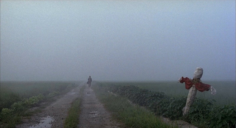 Memories Of Murder Color Theory