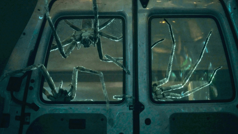 ‘Infested’ Might Just Be the New Queen of Spider Horror Cinema